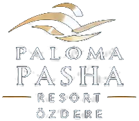Paloma Pasha