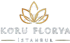 Koru Florya